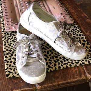 Dolce Vita velvet sneakers